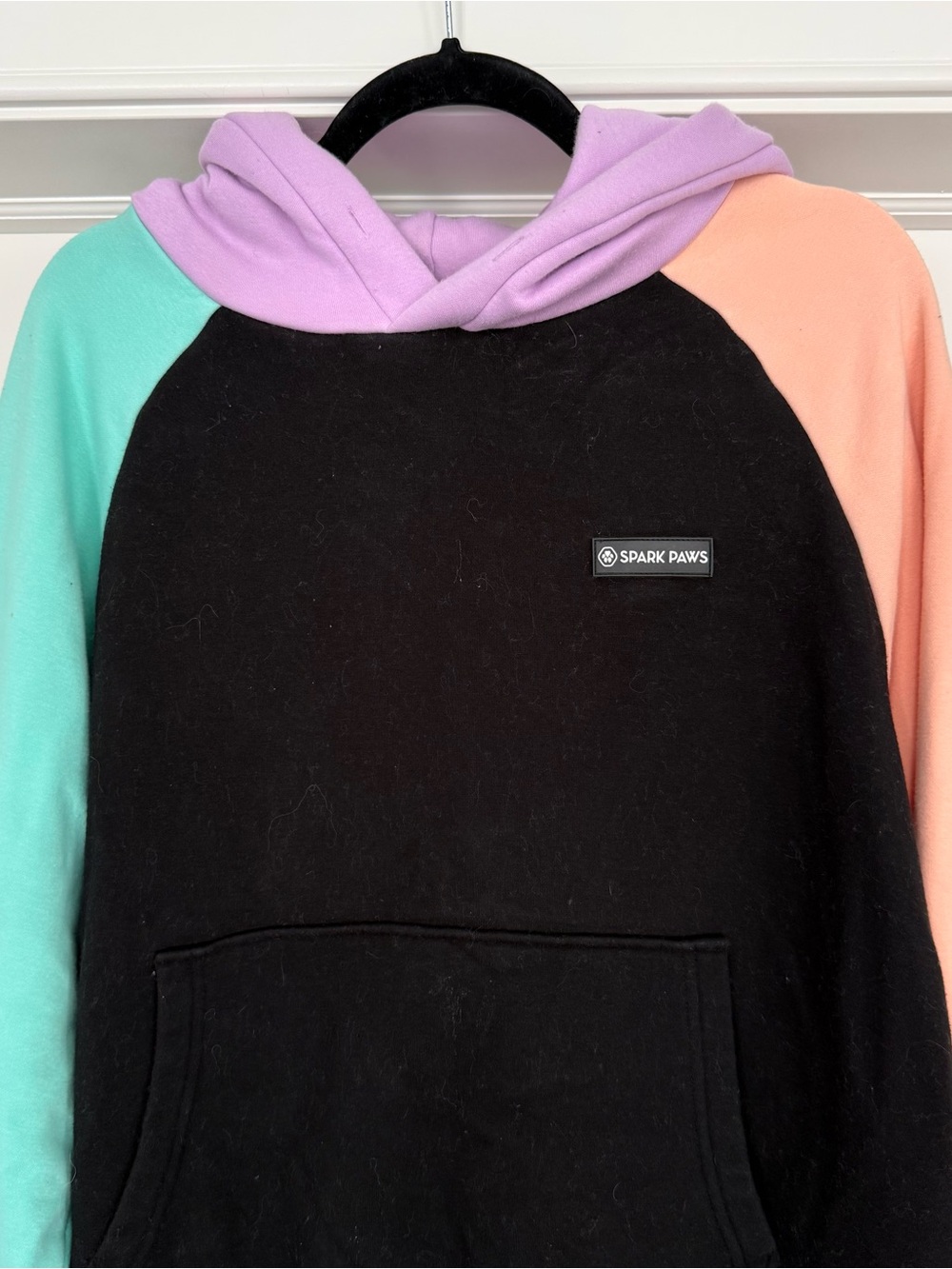Matching Human & Dog Colorblock Hooded Sweatshirt - Picture 2 of 8